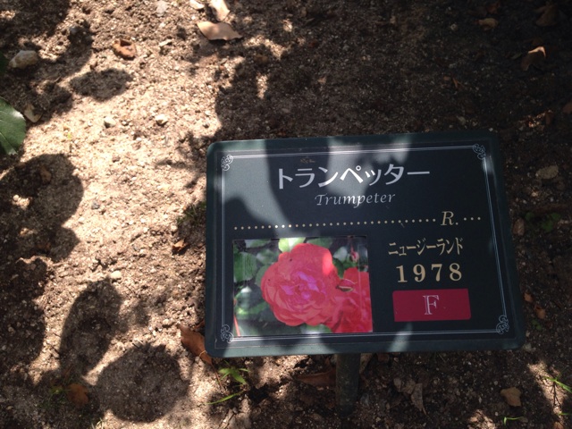 f:id:uguisu79:20140504210319j:plain f:id:uguisu79:20140504210319j:plain