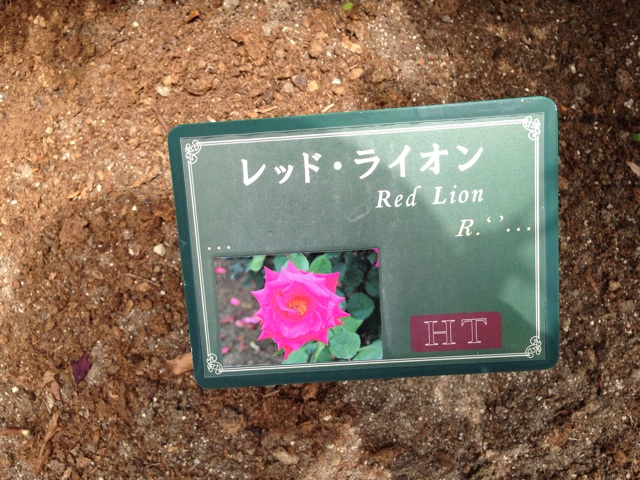 f:id:uguisu79:20140504211311j:plain f:id:uguisu79:20140504211311j:plain