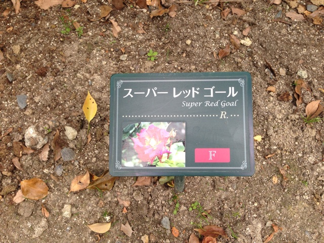 f:id:uguisu79:20140504211421j:plain f:id:uguisu79:20140504211421j:plain