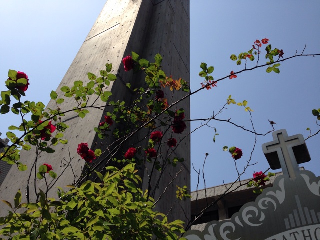 f:id:uguisu79:20140510030016j:plain f:id:uguisu79:20140510030016j:plain