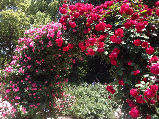 f:id:uguisu79:20140511232303j:plain f:id:uguisu79:20140511232303j:plain