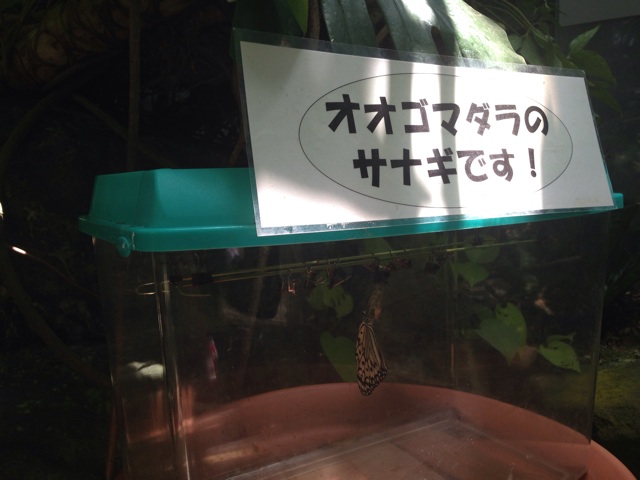 f:id:uguisu79:20140511234321j:plain f:id:uguisu79:20140511234321j:plain