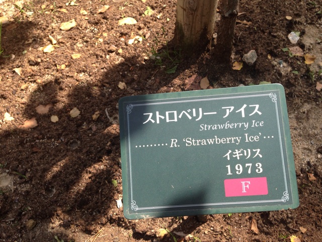 f:id:uguisu79:20140511235403j:plain f:id:uguisu79:20140511235403j:plain