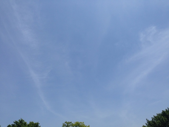 f:id:uguisu79:20140512002944j:plain f:id:uguisu79:20140512002944j:plain