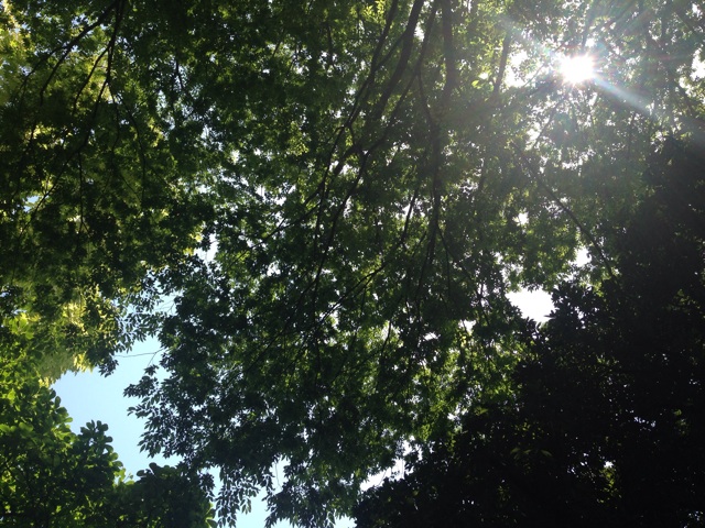 f:id:uguisu79:20140513234345j:plain f:id:uguisu79:20140513234345j:plain