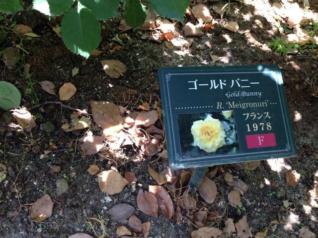 f:id:uguisu79:20140515183218j:plain f:id:uguisu79:20140515183218j:plain