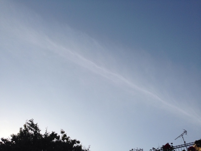 f:id:uguisu79:20140519003838j:plain f:id:uguisu79:20140519003838j:plain