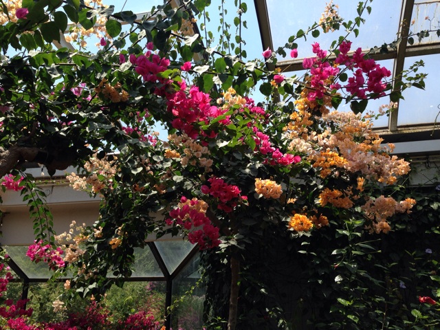 f:id:uguisu79:20140520222211j:plain f:id:uguisu79:20140520222211j:plain