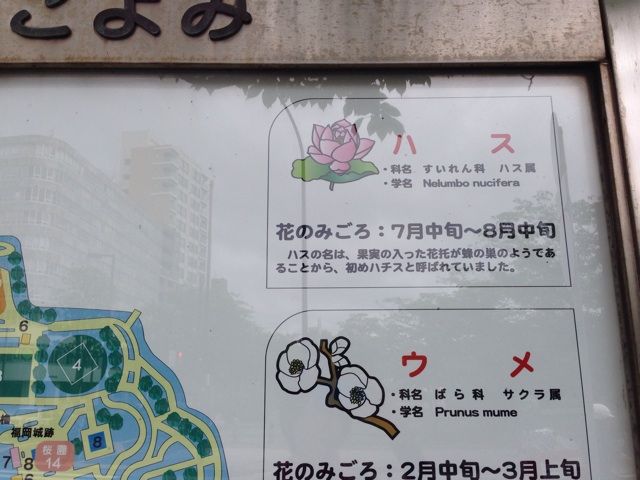 f:id:uguisu79:20140526213356j:plain f:id:uguisu79:20140526213356j:plain