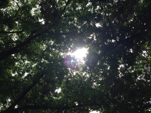 f:id:uguisu79:20140527220424j:plain f:id:uguisu79:20140527220424j:plain