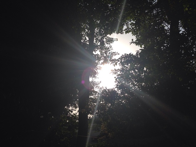 f:id:uguisu79:20140530004847j:plain f:id:uguisu79:20140530004847j:plain