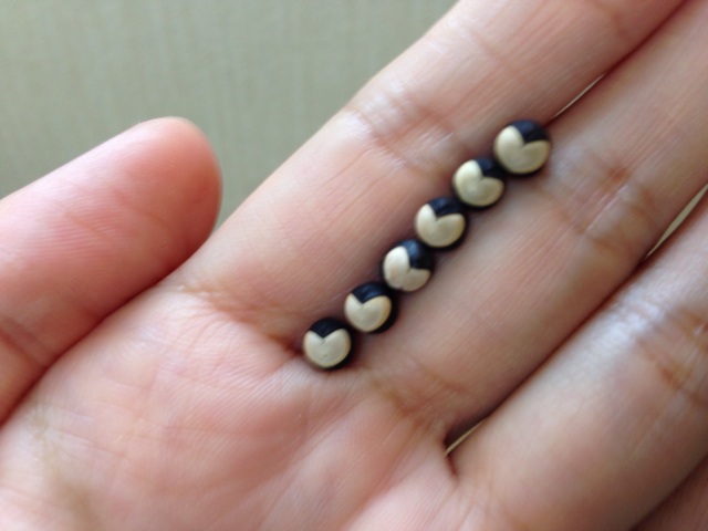 f:id:uguisu79:20140530005909j:plain f:id:uguisu79:20140530005909j:plain