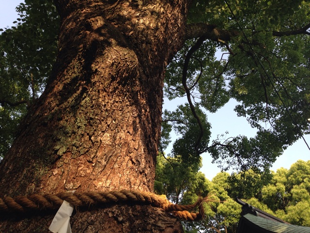 f:id:uguisu79:20140610090606j:plain f:id:uguisu79:20140610090606j:plain