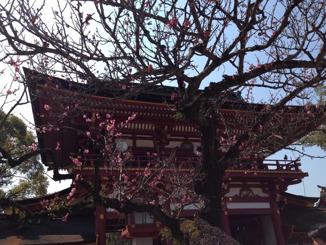 f:id:uguisu79:20140627183558j:plain f:id:uguisu79:20140627183558j:plain