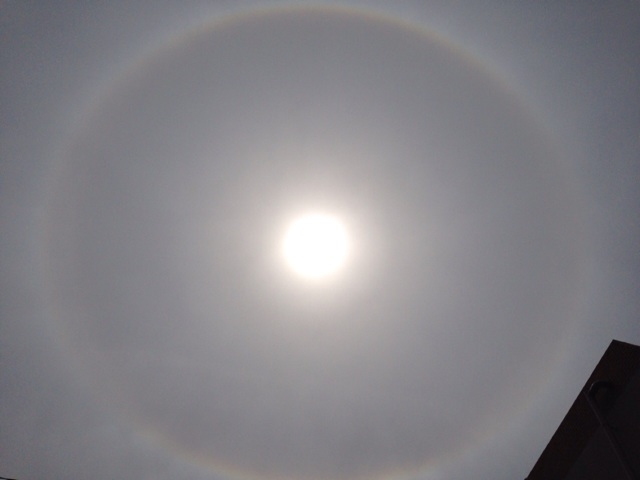 f:id:uguisu79:20140728231533j:plain f:id:uguisu79:20140728231533j:plain