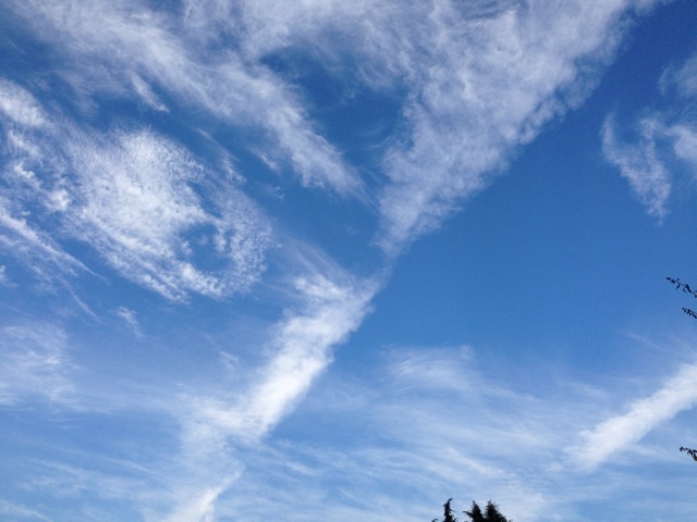 f:id:uguisu79:20140728231746j:plain f:id:uguisu79:20140728231746j:plain