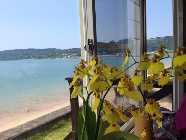 f:id:uguisu79:20140802141025j:plain f:id:uguisu79:20140802141025j:plain