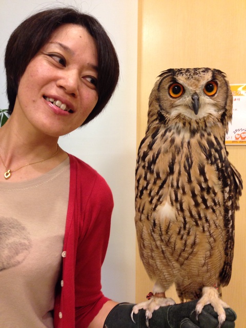 f:id:uguisu79:20140821210713j:plain f:id:uguisu79:20140821210713j:plain