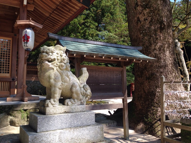 f:id:uguisu79:20140909191343j:plain f:id:uguisu79:20140909191343j:plain