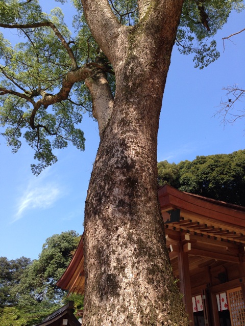 f:id:uguisu79:20140909191358j:plain f:id:uguisu79:20140909191358j:plain
