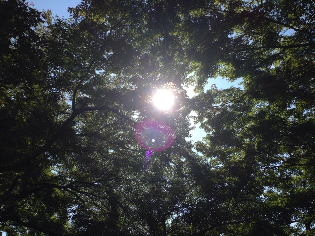 f:id:uguisu79:20140909192804j:plain f:id:uguisu79:20140909192804j:plain