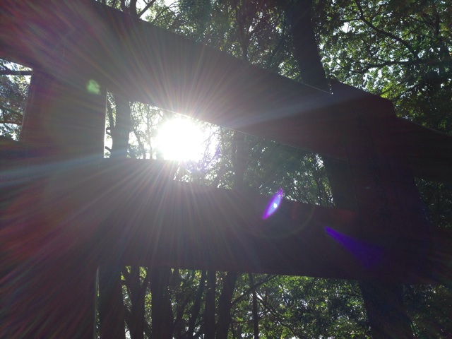 f:id:uguisu79:20141010224816j:plain f:id:uguisu79:20141010224816j:plain