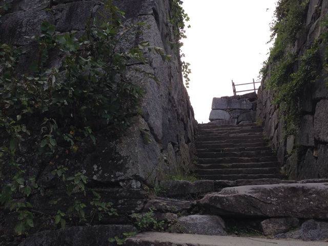 f:id:uguisu79:20141014232314j:plain f:id:uguisu79:20141014232314j:plain