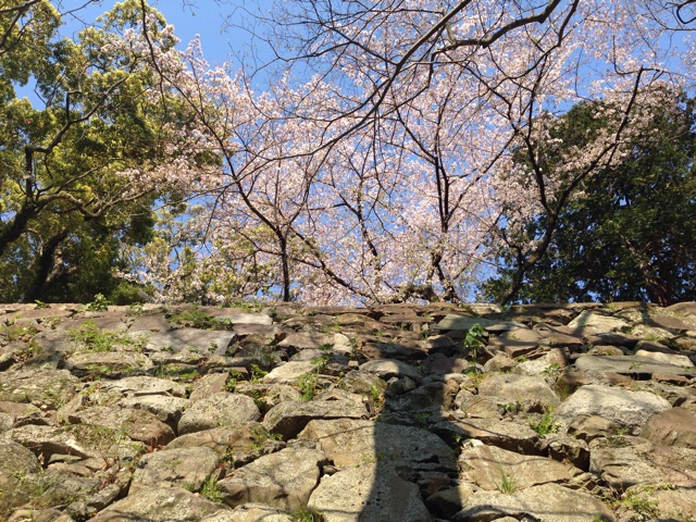 f:id:uguisu79:20141014232852j:plain f:id:uguisu79:20141014232852j:plain