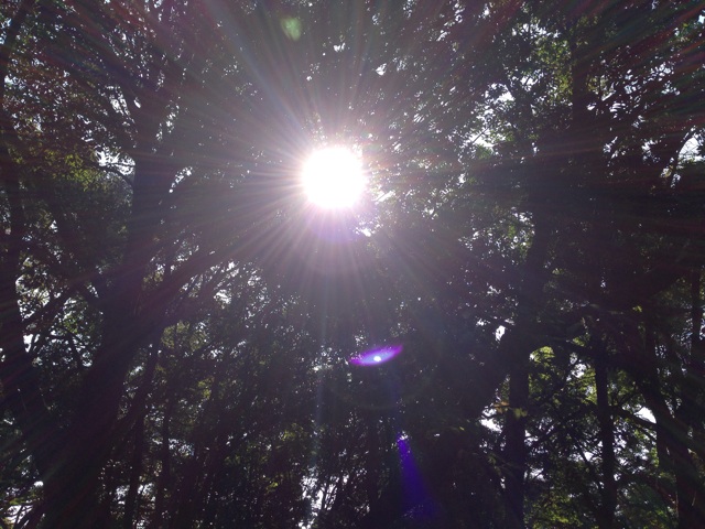 f:id:uguisu79:20141024200924j:plain f:id:uguisu79:20141024200924j:plain