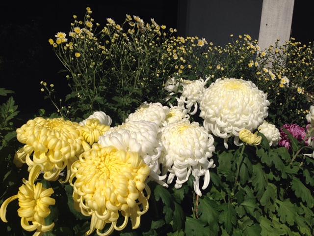 f:id:uguisu79:20141029013922j:plain f:id:uguisu79:20141029013922j:plain