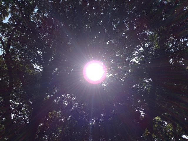 f:id:uguisu79:20141029014724j:plain f:id:uguisu79:20141029014724j:plain