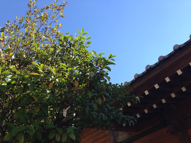 f:id:uguisu79:20141105194211j:plain f:id:uguisu79:20141105194211j:plain