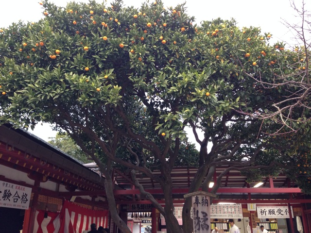 f:id:uguisu79:20141212230831j:plain f:id:uguisu79:20141212230831j:plain