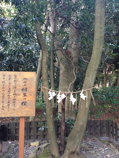 f:id:uguisu79:20141225230401j:plain f:id:uguisu79:20141225230401j:plain