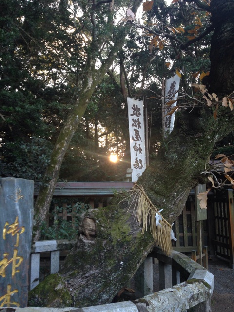 f:id:uguisu79:20141225231340j:plain f:id:uguisu79:20141225231340j:plain