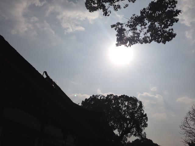 f:id:uguisu79:20141231005325j:plain f:id:uguisu79:20141231005325j:plain