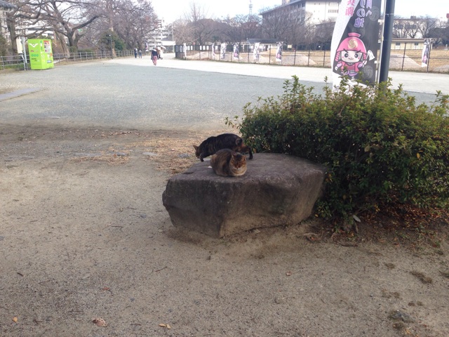 f:id:uguisu79:20150122231342j:plain f:id:uguisu79:20150122231342j:plain