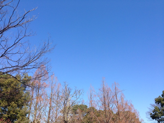 f:id:uguisu79:20150214225903j:plain f:id:uguisu79:20150214225903j:plain