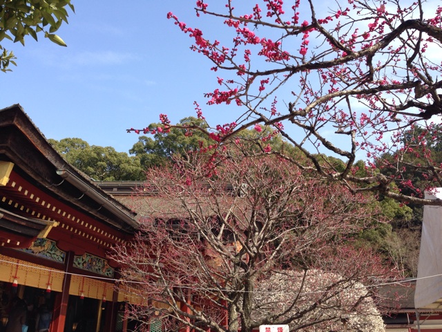 f:id:uguisu79:20150224235953j:plain f:id:uguisu79:20150224235953j:plain