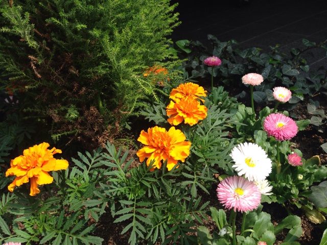 f:id:uguisu79:20150322192031j:plain f:id:uguisu79:20150322192031j:plain