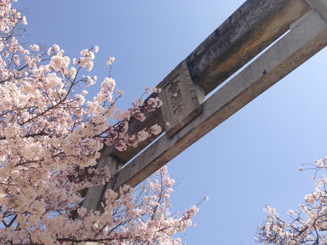 f:id:uguisu79:20150330225058j:plain f:id:uguisu79:20150330225058j:plain