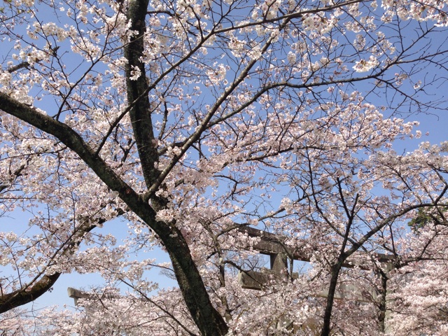 f:id:uguisu79:20150330225128j:plain f:id:uguisu79:20150330225128j:plain