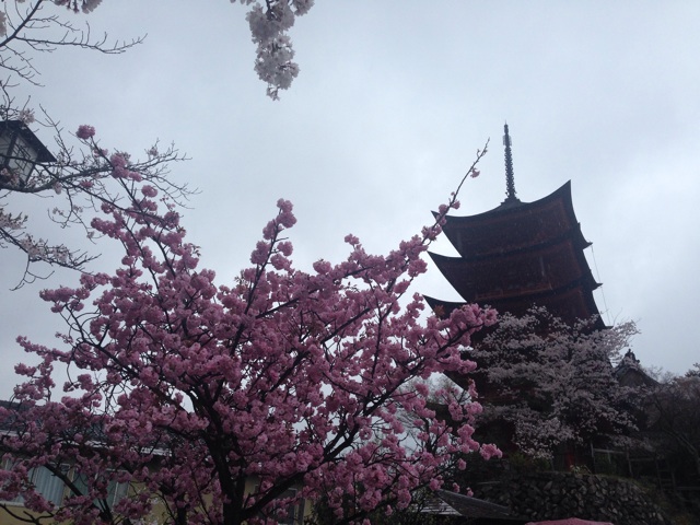 f:id:uguisu79:20150403141250j:plain f:id:uguisu79:20150403141250j:plain