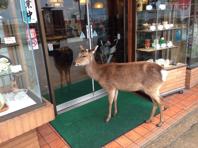 f:id:uguisu79:20150408000208j:plain f:id:uguisu79:20150408000208j:plain