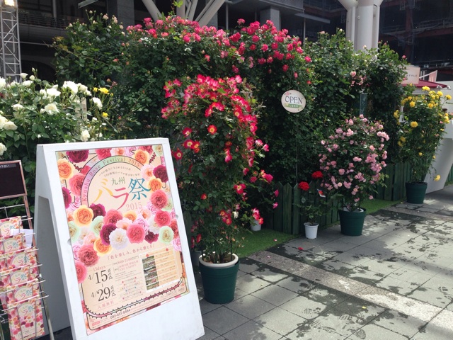 f:id:uguisu79:20150421230733j:plain f:id:uguisu79:20150421230733j:plain