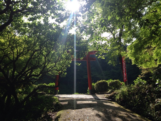 f:id:uguisu79:20150503234603j:plain f:id:uguisu79:20150503234603j:plain
