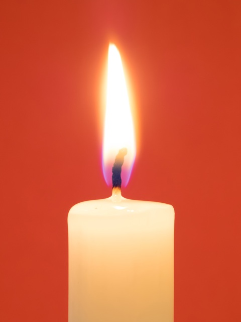 f:id:uguisu79:20150711190827j:plain f:id:uguisu79:20150711190827j:plain