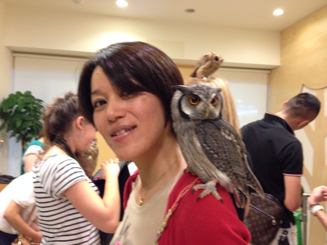 f:id:uguisu79:20150725181408j:plain f:id:uguisu79:20150725181408j:plain