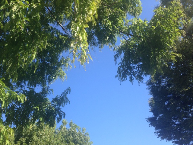 f:id:uguisu79:20151002214953j:plain f:id:uguisu79:20151002214953j:plain