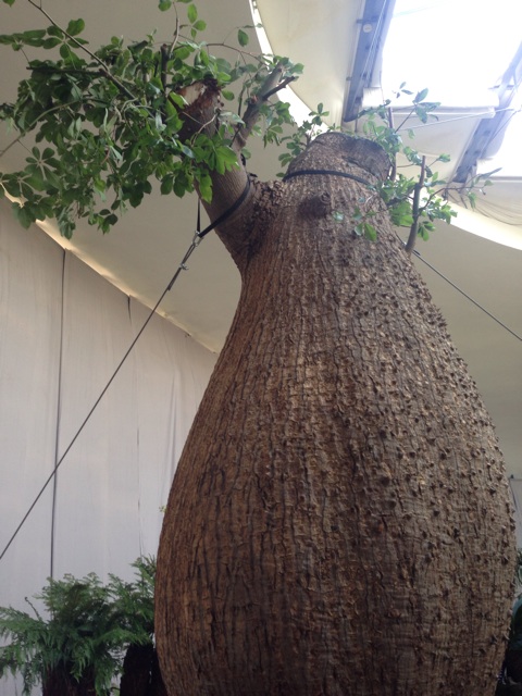 f:id:uguisu79:20151011220732j:plain f:id:uguisu79:20151011220732j:plain